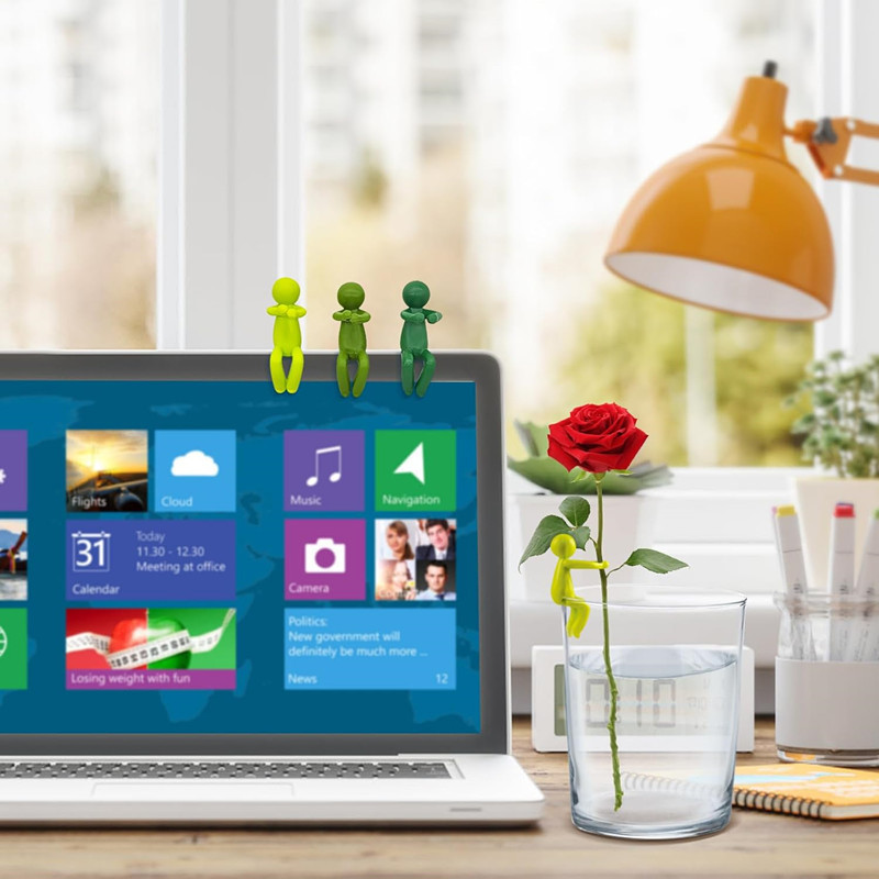 수경 재배 식물 고정 장식품 직립 식물 지지대 장식 사 - Home Office Layout 리뷰 및 가격