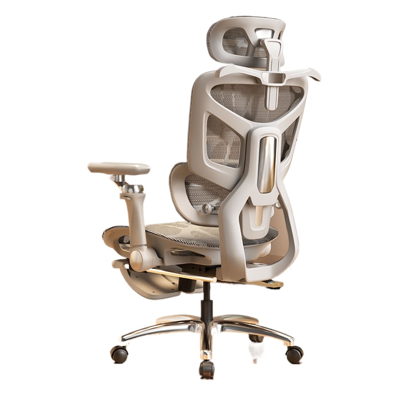 인체공학적 컴퓨터 작업용 사무실 의자, 가정용 요추 지 - Ergonomic Office Chair 리뷰 및 가격